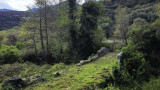 275001-photos-4-275775-698127