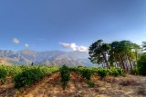 domaine-maestracci-3-claudecruells-copier-63702