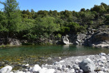 dsc-0114-89325564-141917