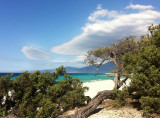 plage-saleccia1-copie-denoiseai-standard-9e4a375d-141903