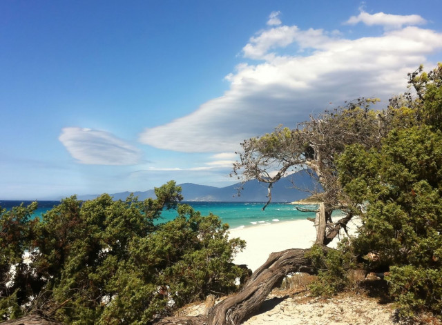 plage-saleccia1-copie-denoiseai-standard-9e4a375d-141903