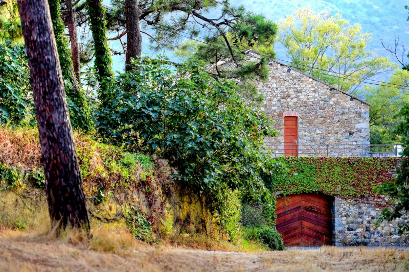domaine-maestracci-8-claudecruells-copier-63703